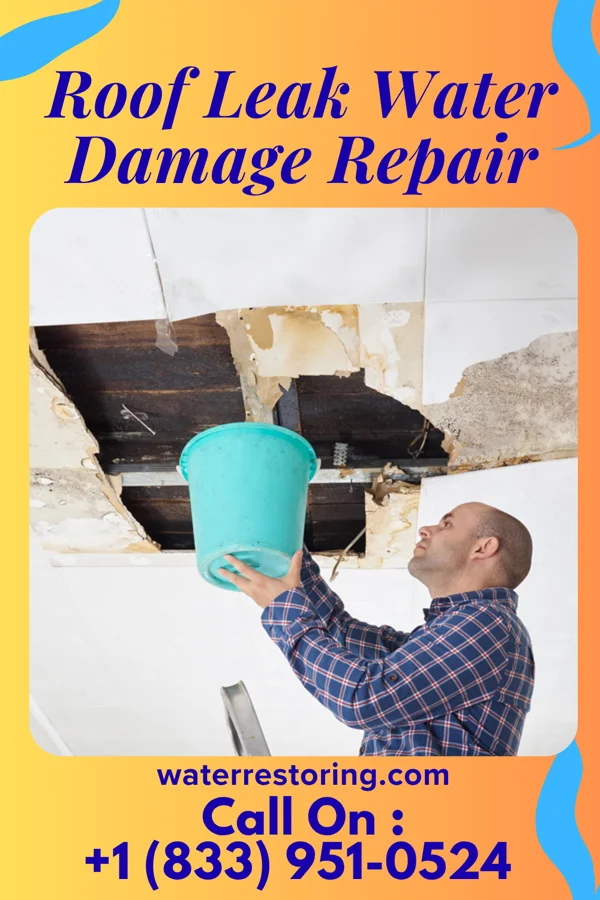 Roof Leak Water Damage Repair in Bartow, FL